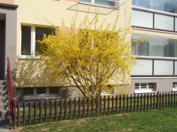 Společenství Nad Přehradou 405 https://pragostav.edomovnik.cz/files/pragostav/SVJ716/shared/web/nahled/DSCN0333.jpg