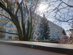 MALESICE HRIBSKA 2034-39P10-B.J.120 https://pragostav.edomovnik.cz/files/pragostav/SVJ813/shared/web/nahled/20240318_094215.jpg
